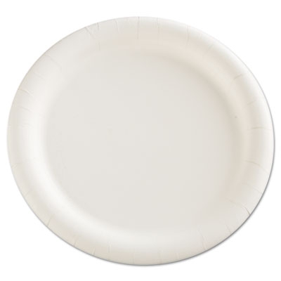 Premium Coated Paper Plates, 9