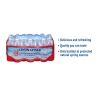 Alpine Spring Water, 16.9 Oz Bottle, 24/case