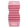 Fresh Eco Fresh&#174; Hang Tag W/suction Cup - Spiced Apple