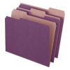 Earthwise By Pendaflex Recycled File Folders, 1/3 Top Tab, Ltr, Violet, 100/bx