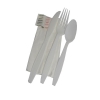 Wrapped Cutlery Kit With White Fork, Spoon, Knife, Napkin, Salt, And Pepper  250/cs