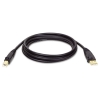 Usb 2.0 Gold Cable, 10 Ft, Black