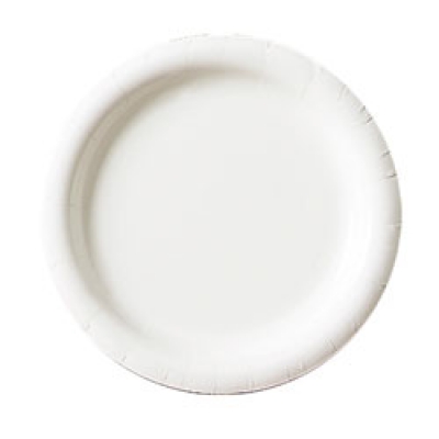White Paper Plates Uncoated 1200 Per Case