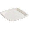 Hoffmaster Earth Wise Tree Free Square Plate, 9.75 Inch -- 500 Per Case.